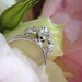 Heart of Water Diamond Engagement Ring (Made to Order, Variable Gems and Prices Available)