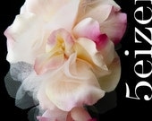 Rosa Series - Pink and Ivory Bloom Headband LIMITED EDITION)