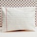 lined paper zippered case