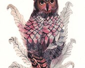Owl and Birdsnest Fern -  Limited Edition Print