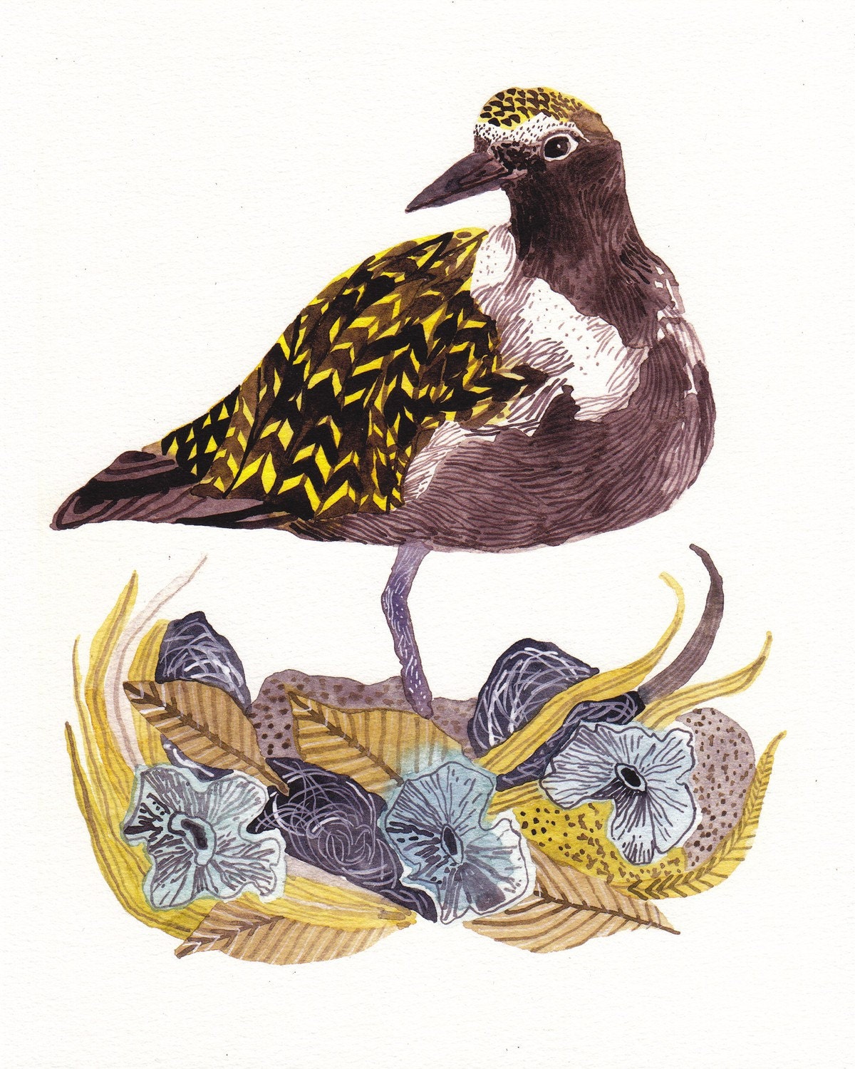 Plover with Nest - Archival Print