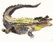 Alligator - Small Archival Print