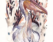 Great White Pelican - Archival Print