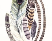 Feathers  -Large  Archival Print