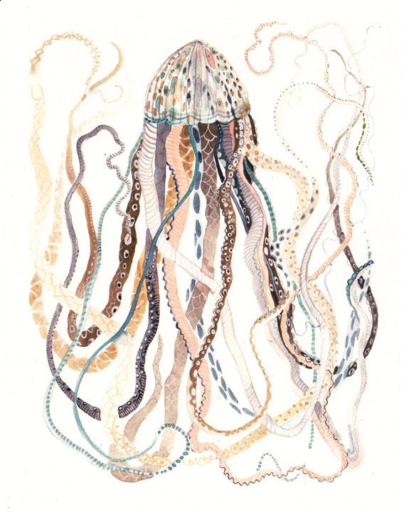 Antique Jellyfish - 16" x 20" Large Archival Print