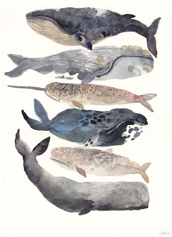 Six Whales -Original Watercolor Painting