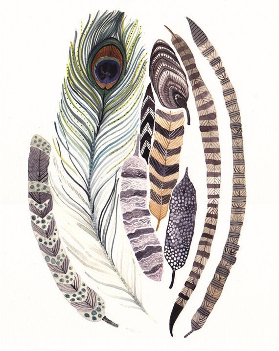 Feathers  -Large  Archival Print