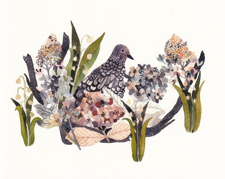 Mourning Dove, Hydrangeas, and Snow Drops - Archival Print