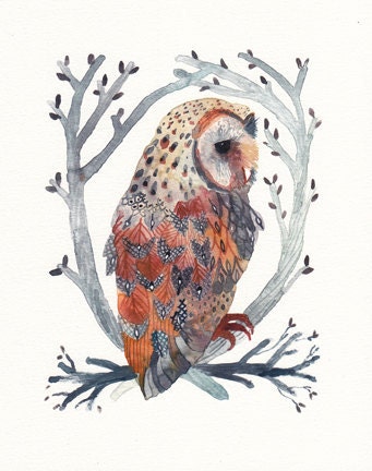 Barn Owl and Branches - Archival Print