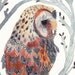 Barn Owl and Branches - Archival Print