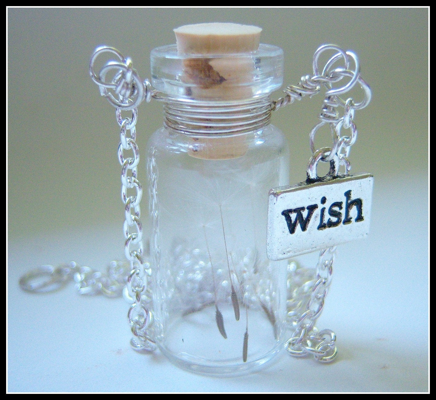 Custom Order For Anna -Tiny Glass Bottle Necklace Make a Wish Necklace with one tiny seed