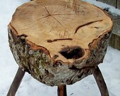 3 Legged Stump Stool primitive wood plant stand 