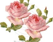 Shabby Vintage Style Pink Beautiful Cottage Rose Decals - De-VF-53