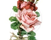 Vintage Beautiful Chic Klein Soft Two Red/Pink Roses Water Slide Waterslide Decals - De-Klein-39