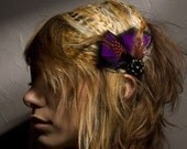 Emily Vintage Feather Hair Piece    