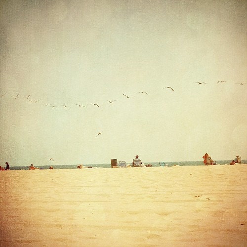 Beach Photograph,  Nature Photography, California, Santa Monica, Birds -Lets Fly Away to the Beach (8x8) Fine Art Print