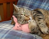 Honey Bunny Cat Toy  - Hand Knit Wool Felted Organic Catnip