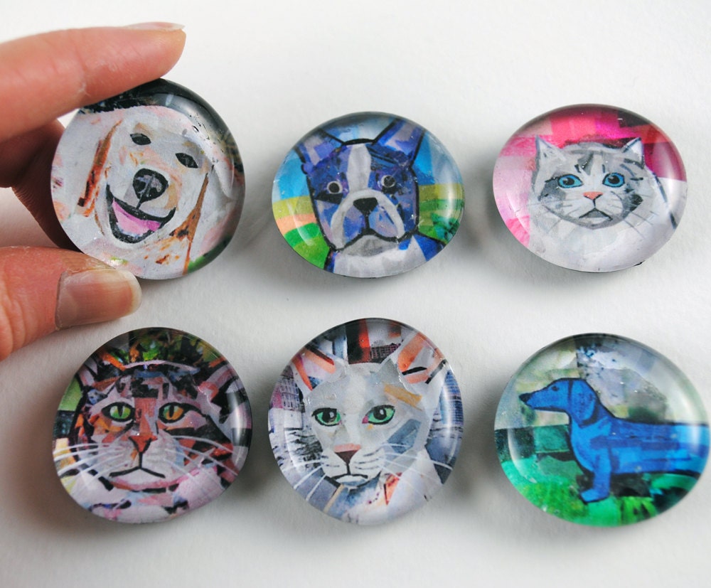 Cats and Dogs Magnets, Set of 6
