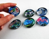 Critter Bubble Magnets, Set of 6