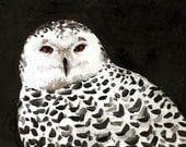 Owl / Original painting