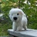 Needle Felted Dog Maltese Puppy Wool Sculpture