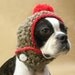 SPRING SALE Cherry on Top Dog Hat With Pom Pom