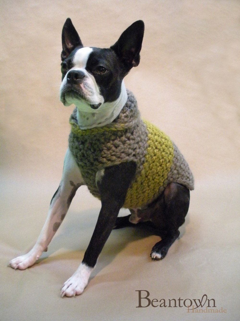 Toffee High Collar Dog Sweater Custom Size and Color Up to 35lbs