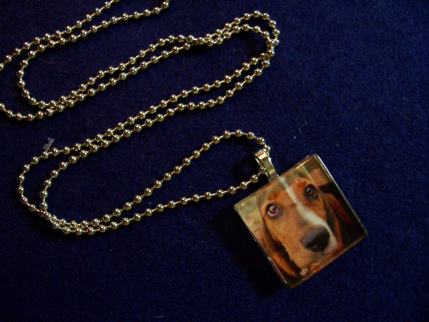BASSET Hound dog photo glass pendant charm tile necklace magnet or pin dog rescue