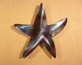 Starfish Star Fish Steel Wall Art Metal Sea Ocean Beach House Coastal Cottage Home Decor Beach Combing Tidal Surf Sand