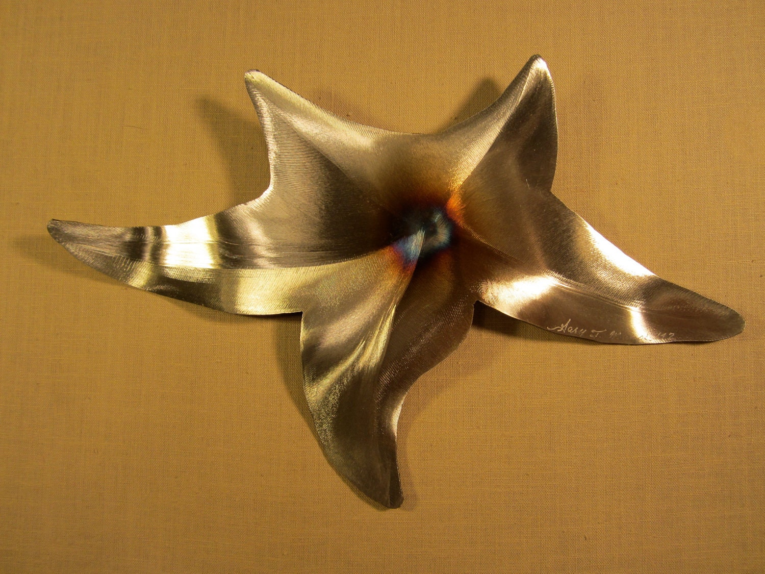 Starfish Star Fish Steel Wall Art Metal Sea Ocean Beach House Coastal Cottage Home Decor Beach Combing Tidal Surf Sand