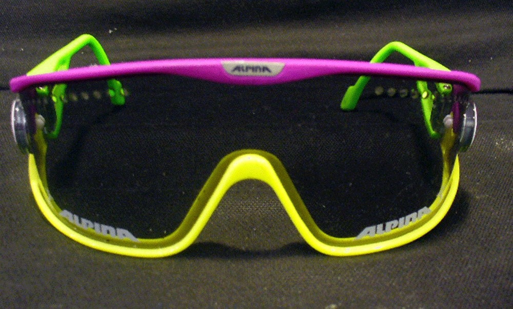 Vintage Alpina Sunglasses