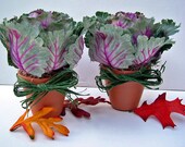 Ornamental Cabbage Planter Pair