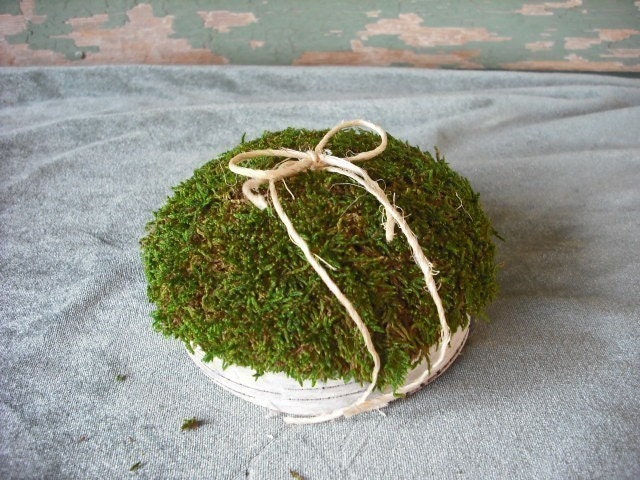 Birch bark and moss ring bearer pillow for your rustic,woodland, nature, eco friendly, fairytail wedding.