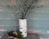 Birch bark covered glass vase, almost 8" tall.  From NH bark. Beautiful centerpiece for your nature, woodland, rustic, fairlytail wedding..