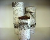 Set of 3 Birch bark covered glass vases for nature eco-friendly wedding or home.  Handmade in NH.