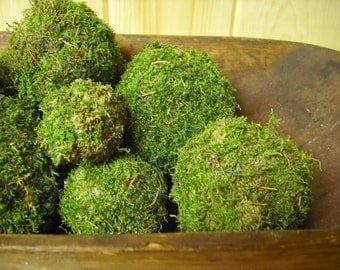 One 4 inch Moss ball, natural, organic woodland addition to your home.