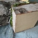 Birch Bark and Moss Ring bearer's pillow with engraved MR & MRS hearts,for your woodland nature themed fairytail wedding.