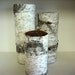 10 Sets of 3 (30 vases) Birch bark covered glass vases for woodland, rustic, nature eco-friendly wedding or home. Handmade in NH.
