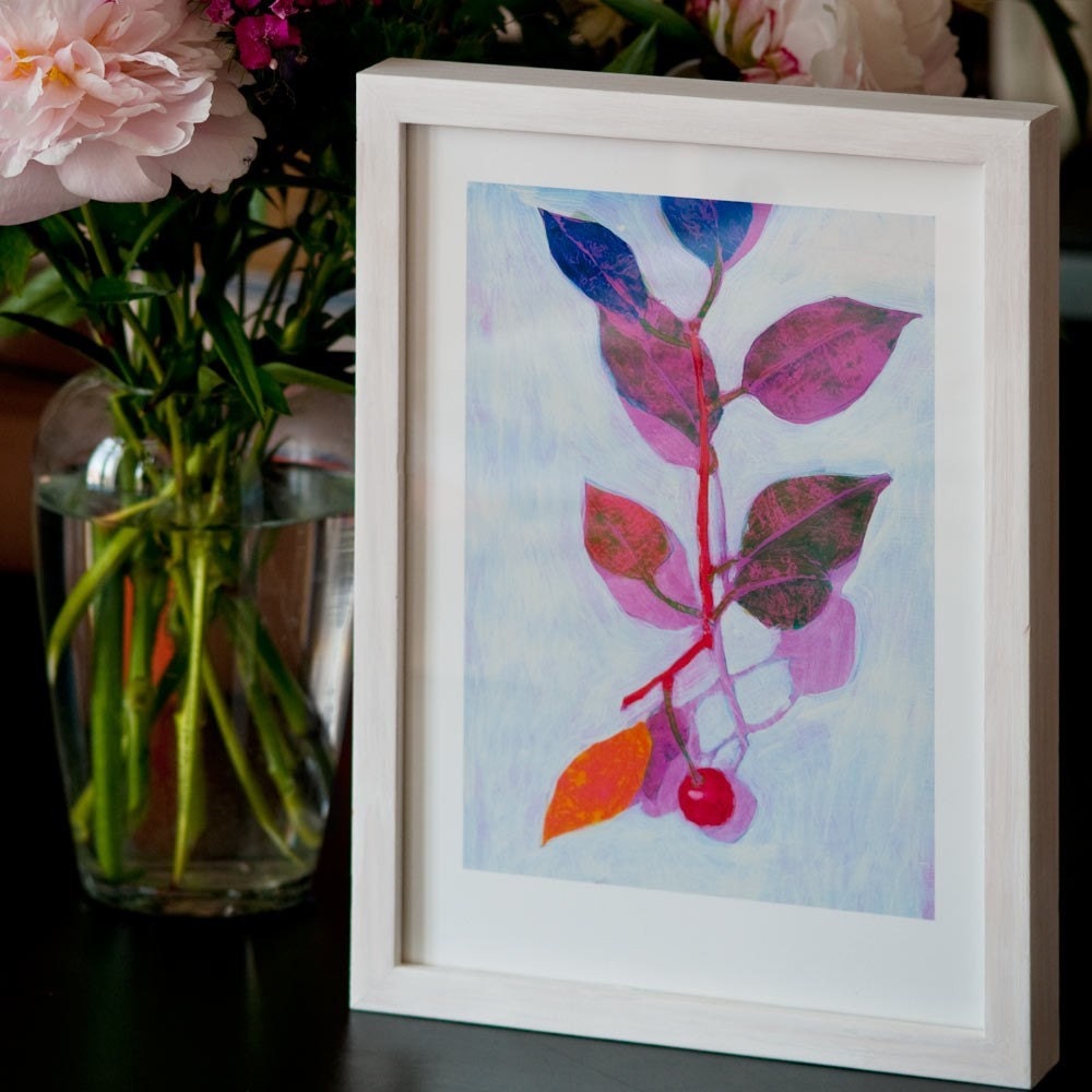 Morello Cherry (print)