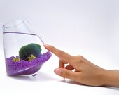 Marimo in the Purple Rocking Playground -- Discounted