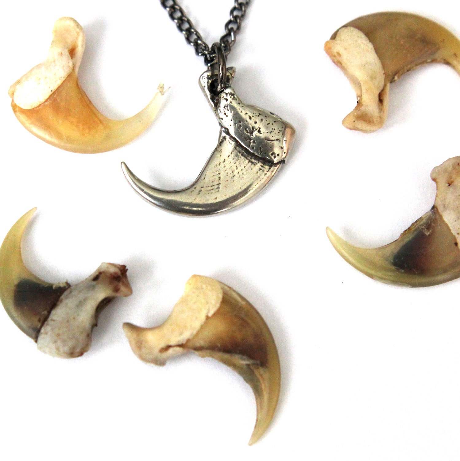 Bobcat Claw Necklace - Life Size in White Bronze