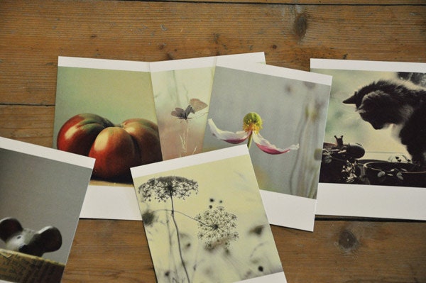 Set of 15 postcards