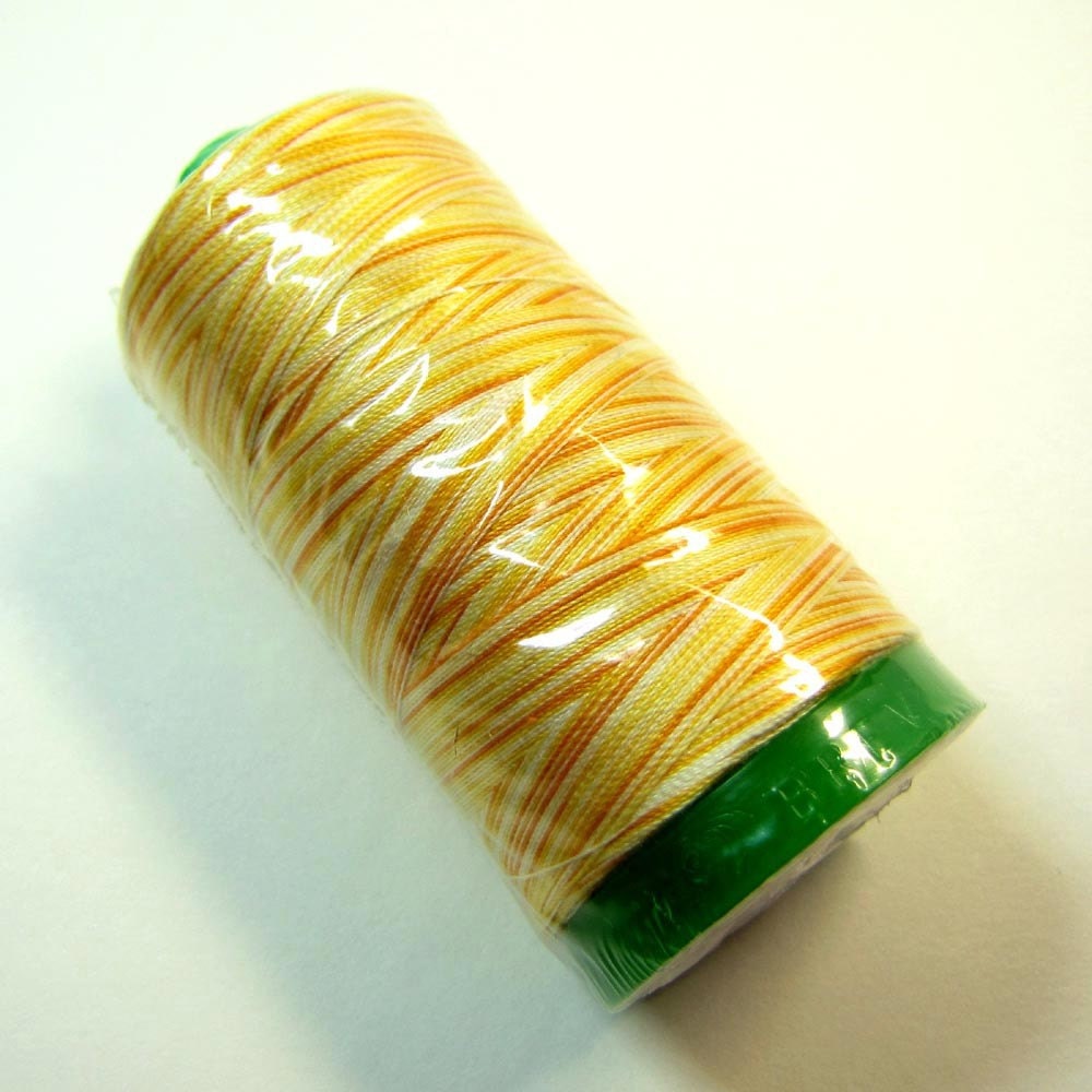 Aurifil Thread 4658 Sunshine Aquarelli Variegated 40 Wt. Cotton Mako - 1094 Yd.