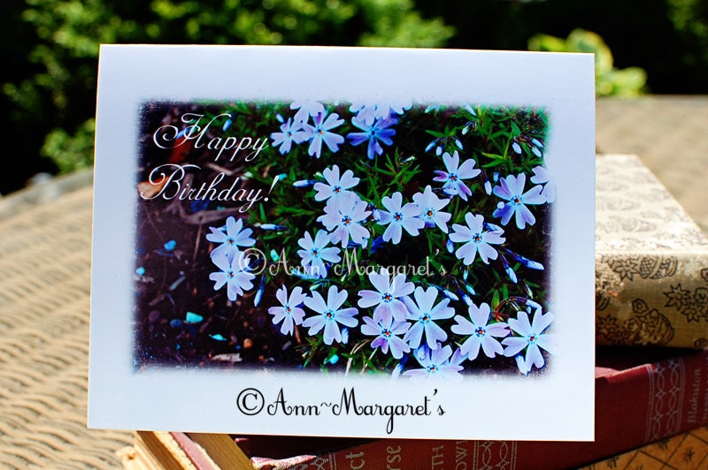 Art Photography - Floral Photography Note Cards - Set of 4 - Happy Birthday Cards - Thinking of  You