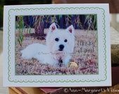 Art Photography - Westhighland Terrier Cards- Westie Photo - Blank Note Cards - Happy Birthday - Thinking of You