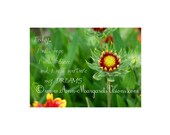Photography Print - Nuture My Dreams - Inspirational Art, 5 x 7 print, Art by Ann-Margaret