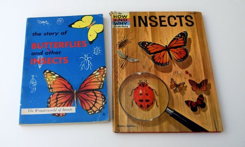 Vintage Butterfly books - SleepyOwlVintage
