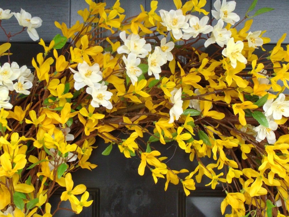 Year Round Wreath- Spring Forsythia Wreath- Forsythia Spring Wreath-Door Wreath