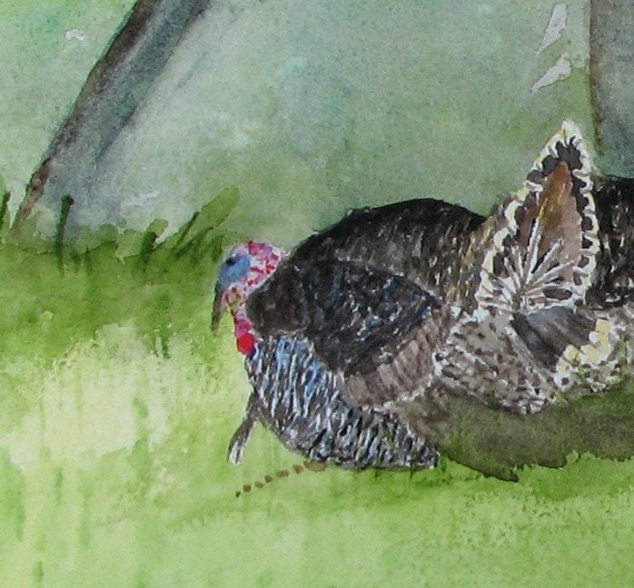 Turkeys in the HIll Country by Nan Henke 4 1/4 x 5 1/2 inch greeting cards (set of 4, Blank ) cropped