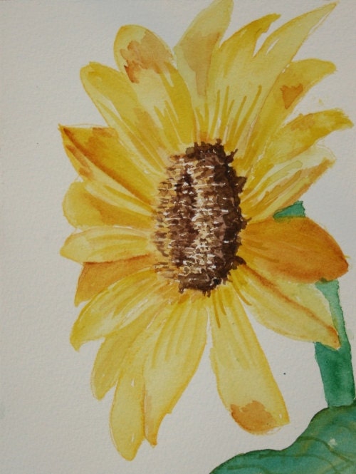 Yellow Daisy Wildflower set of 4 Blank Greeting Cards based on watercolor by Nan Henke